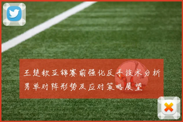 王楚钦亚锦赛前强化反手技术分析男单对阵形势及应对策略展望